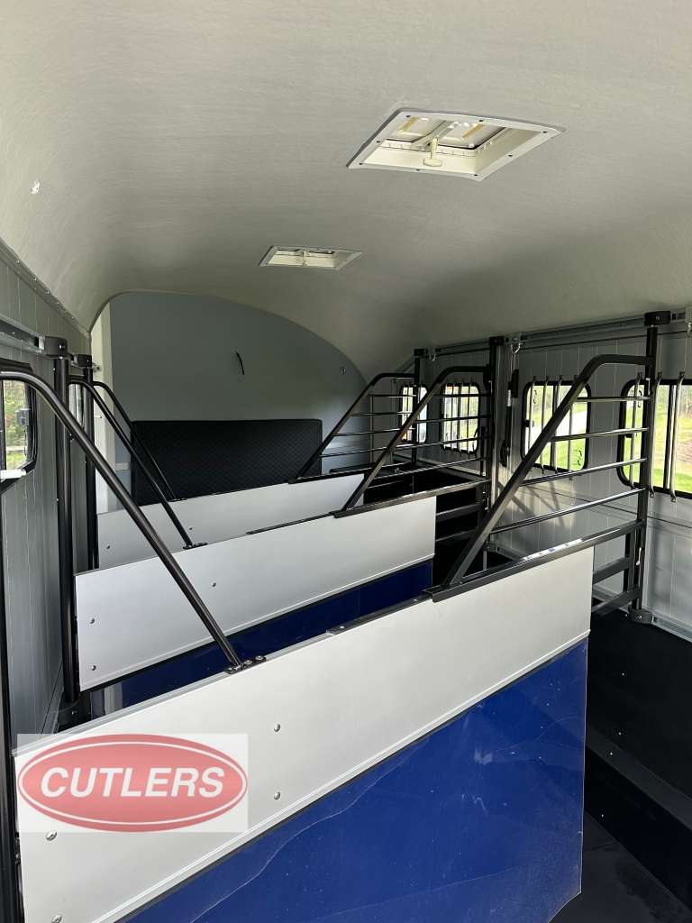 Horse transporter interior with padded partitions and secure stall dividers